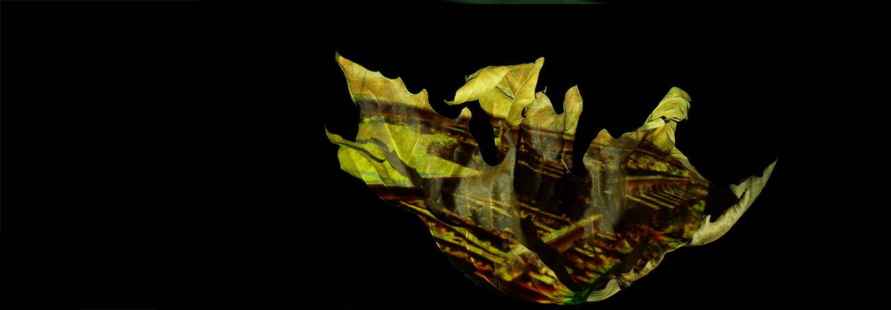 Fragiles Gut, Projektionen, Güterbahnhof, urbaner Transfer, Installation, zerbrechliche Fracht