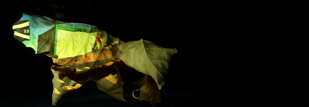 Fragiles Gut, Projektionen, Güterbahnhof, urbaner Transfer, Installation, zerbrechliche Fracht