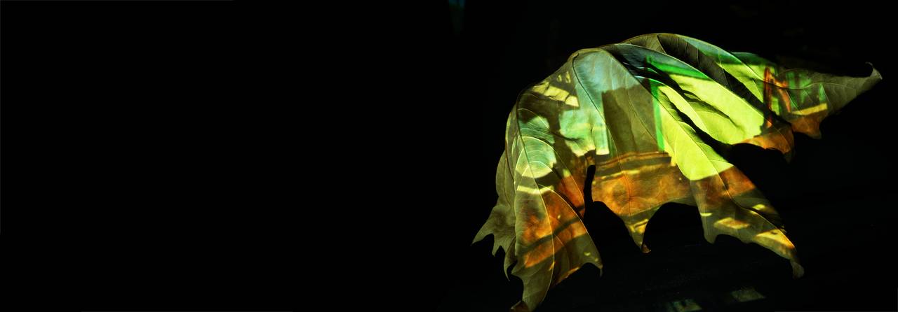 Fragiles Gut, Projektionen, Güterbahnhof, urbaner Transfer, Installation, zerbrechliche Fracht