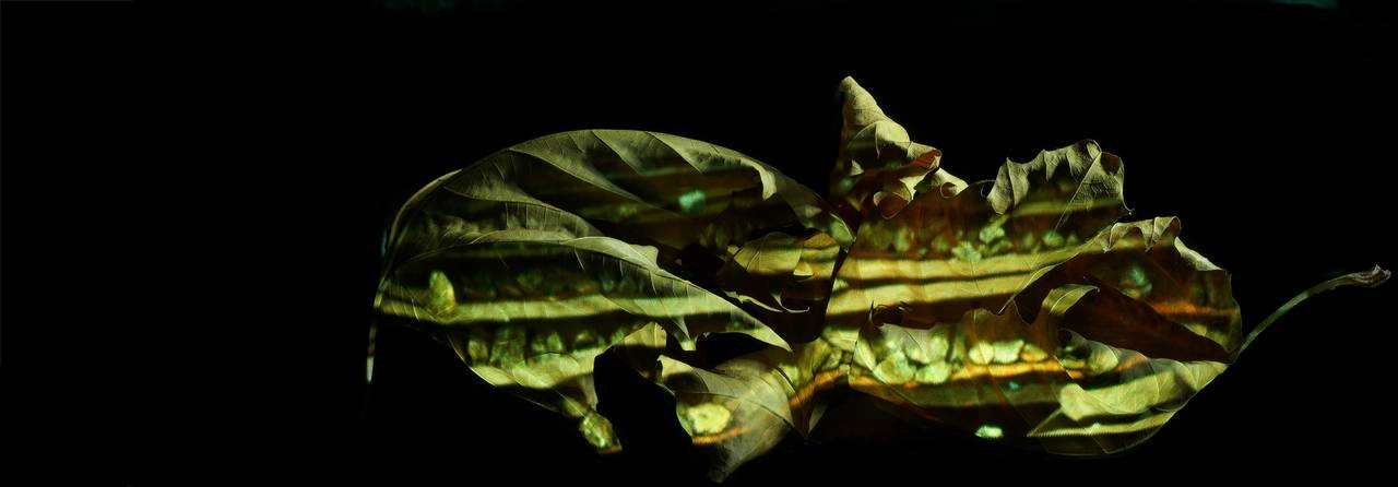 Fragiles Gut, Projektionen, Güterbahnhof, urbaner Transfer, Installation, zerbrechliche Fracht