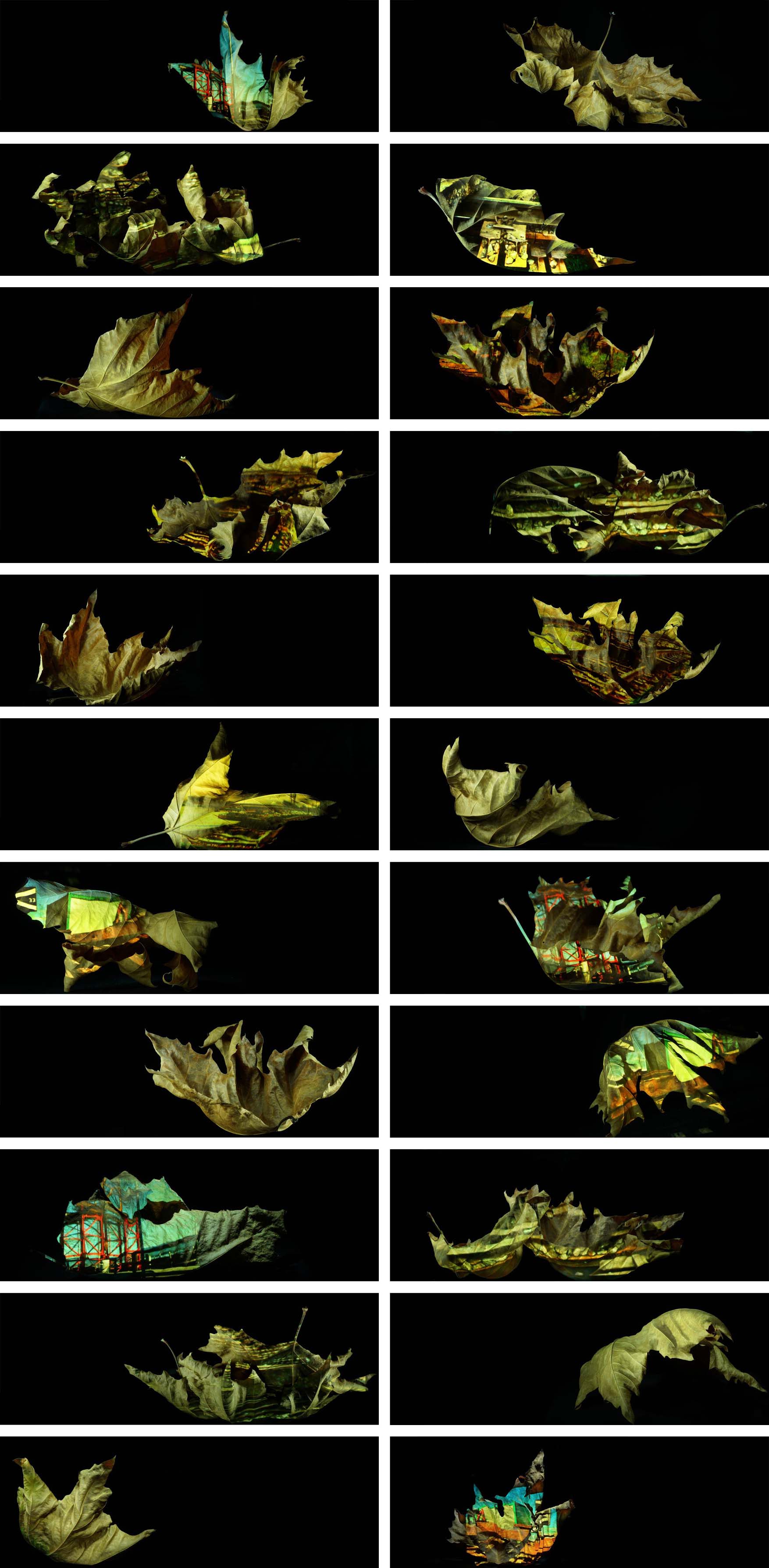 Fragiles Gut, Projektionen, Güterbahnhof, urbaner Transfer, Installation, zerbrechliche Fracht