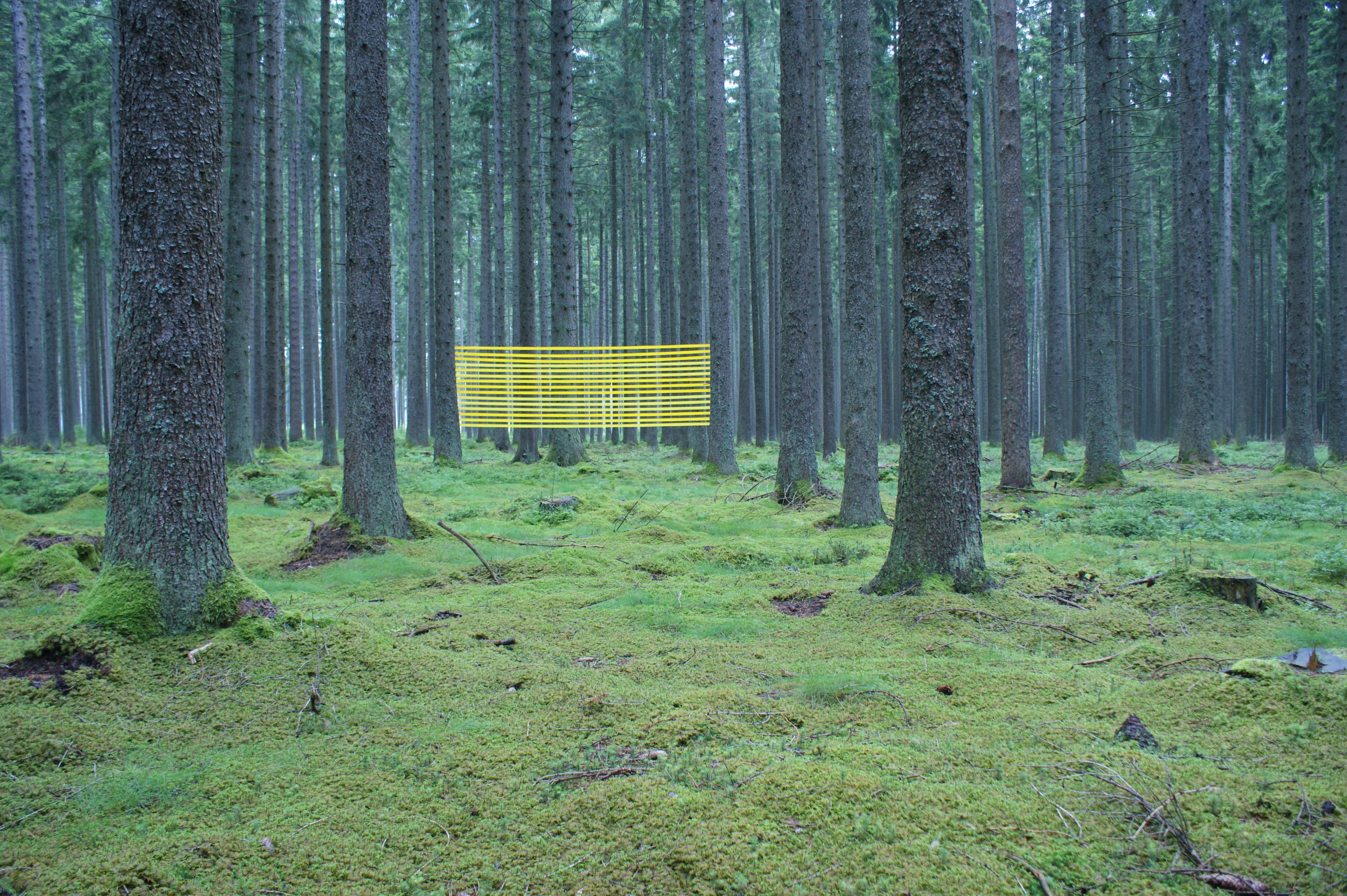 Bilder, Spuren, Fotografien, Interventionen