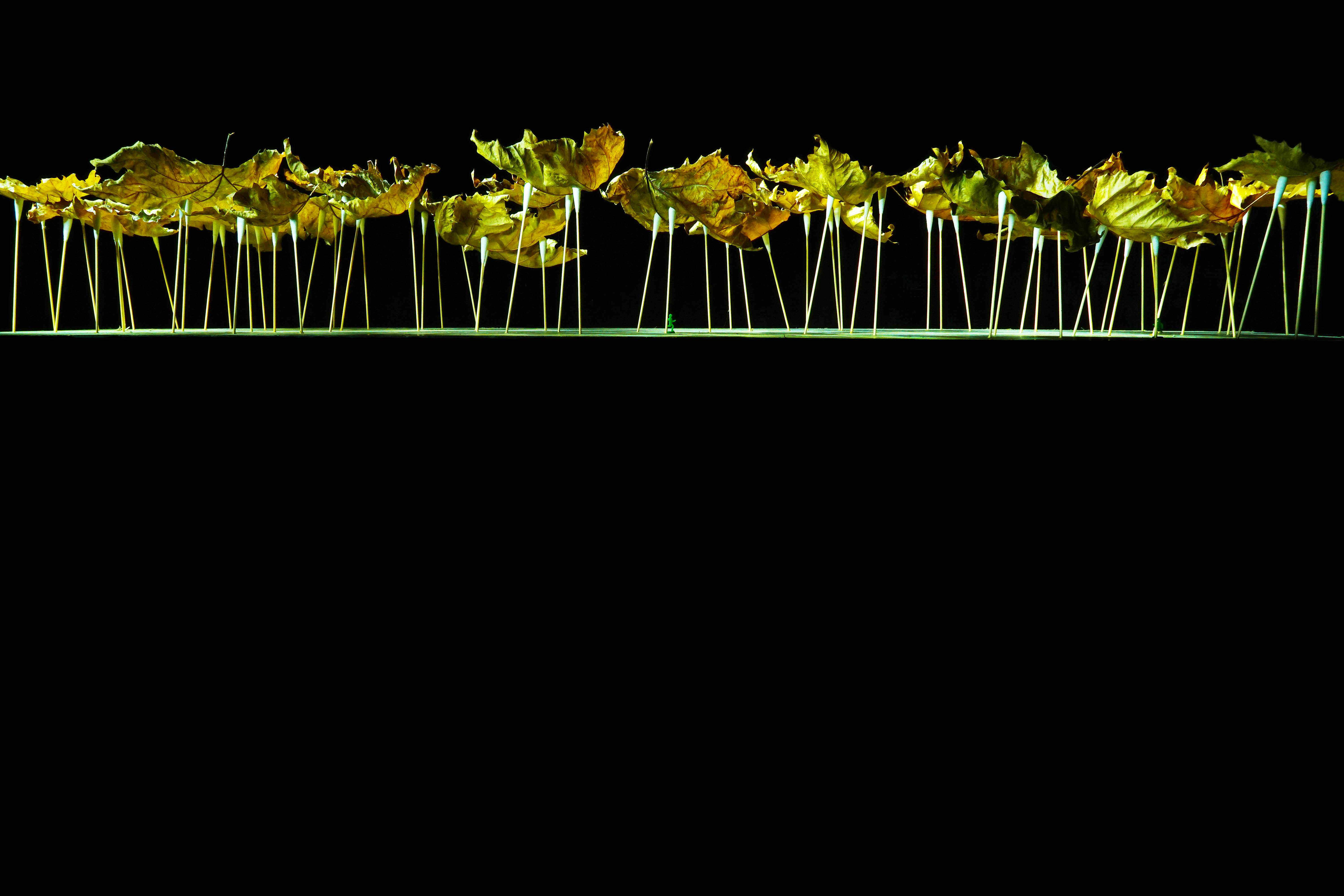 Fotografie, Szenerie, Ende, Verwelken, Blätter, Welt