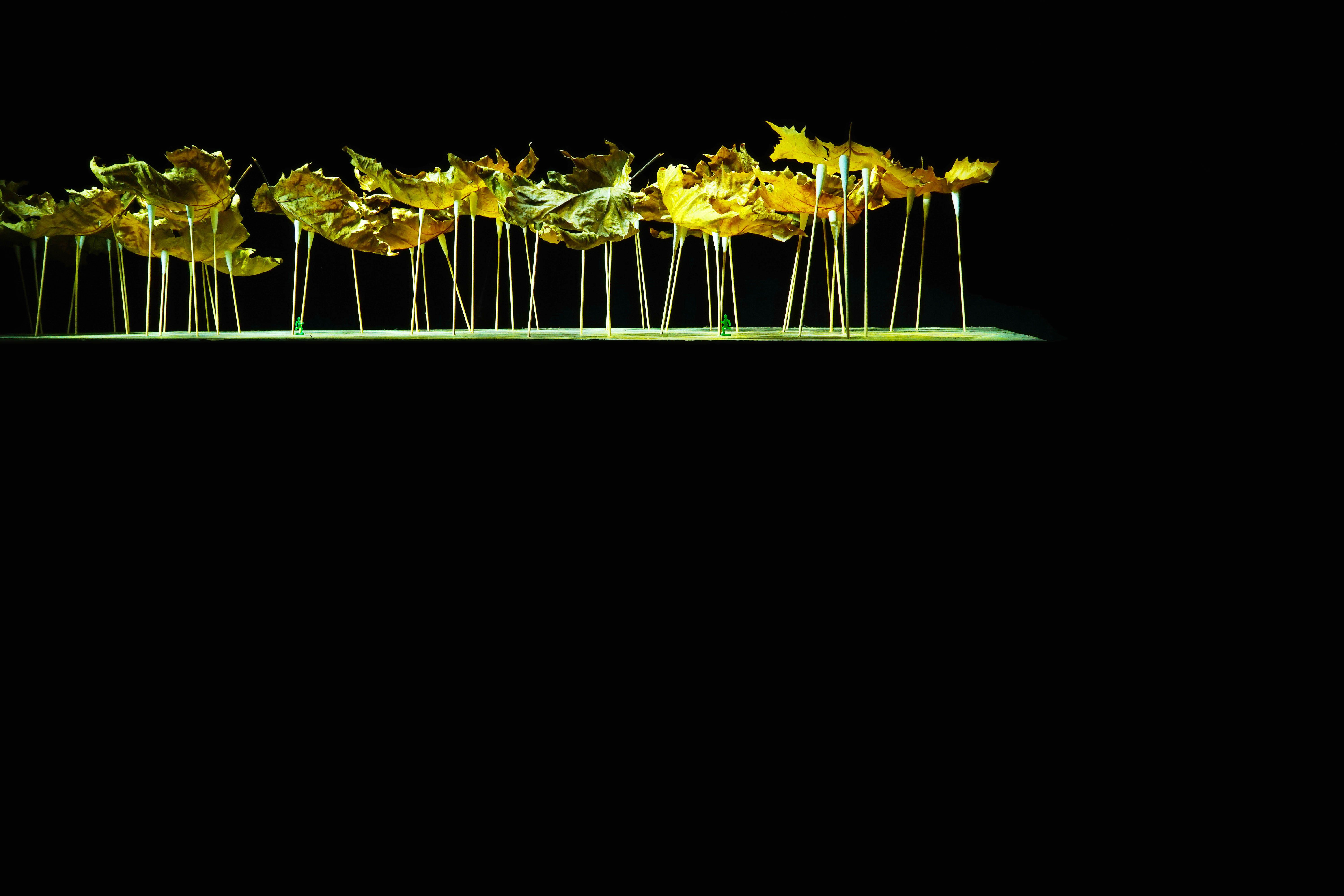 Fotografie, Szenerie, Ende, Verwelken, Blätter, Welt