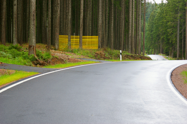 Bilder, Spuren, Fotografien, Interventionen