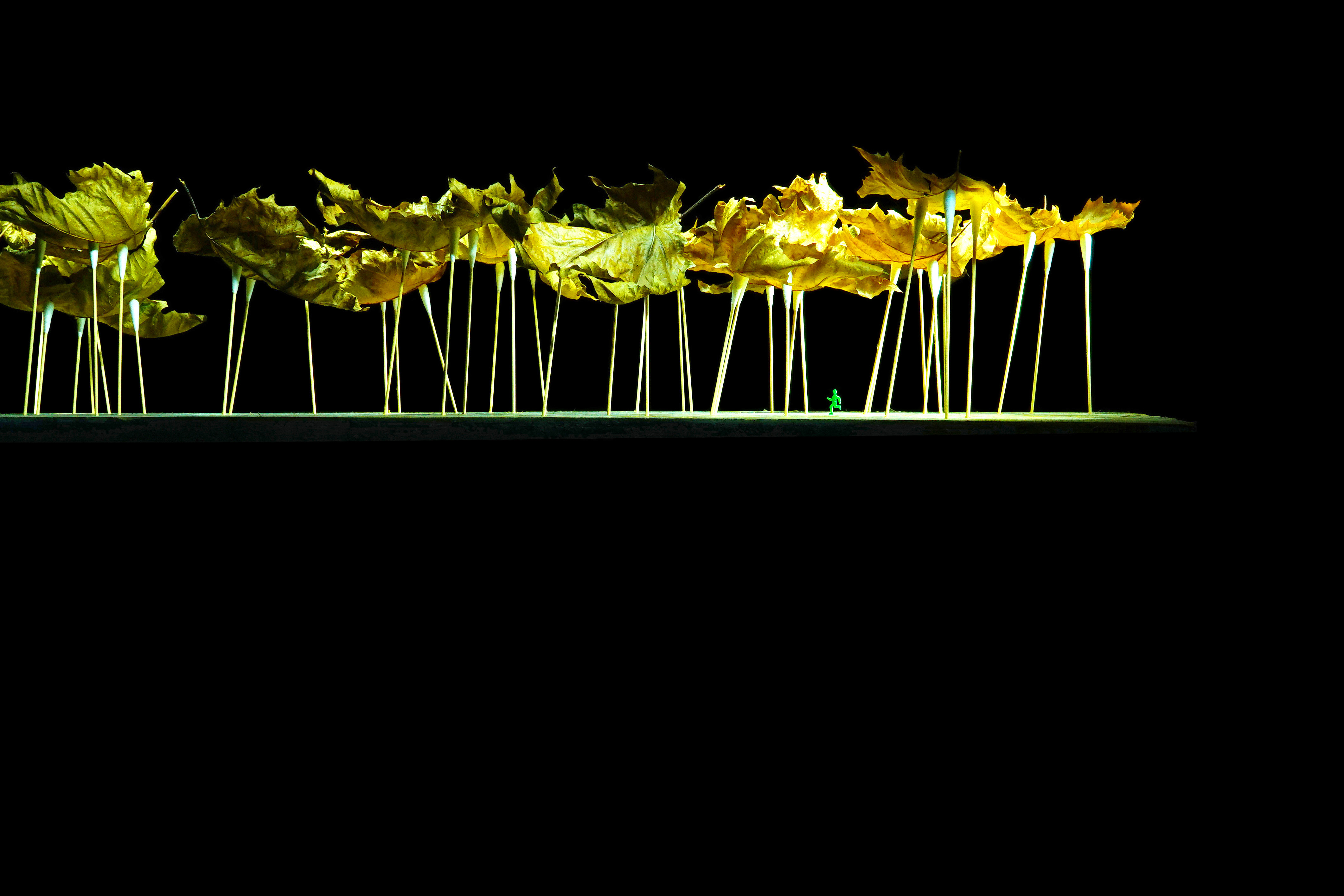 Fotografie, Szenerie, Ende, Verwelken, Blätter, Welt