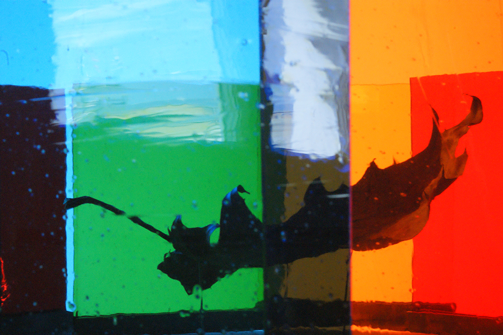 Verwelkung, welk, verwelkt