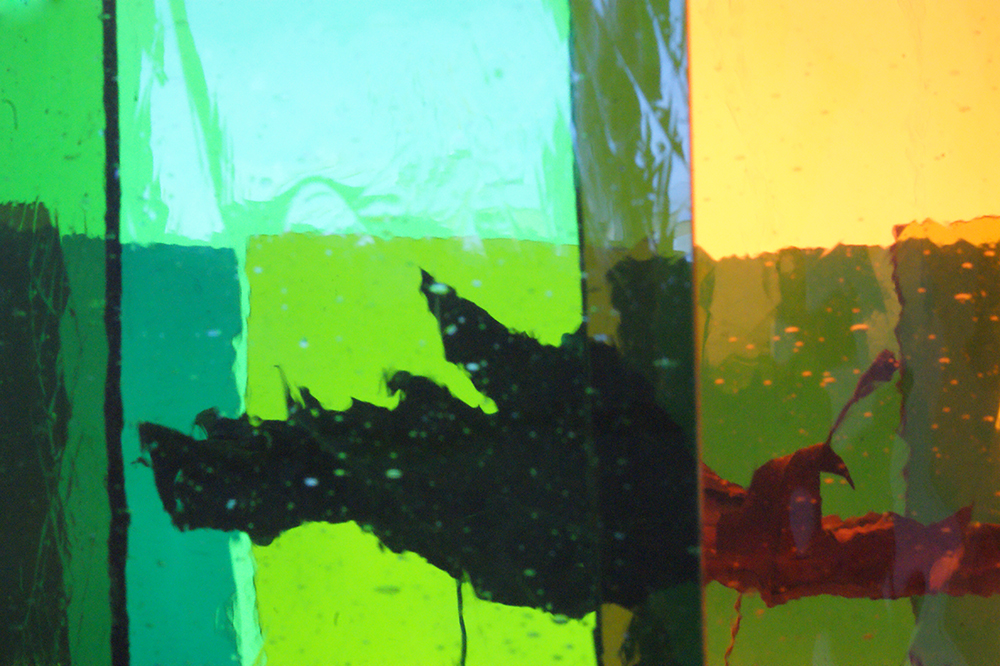 Verwelkung, welk, verwelkt