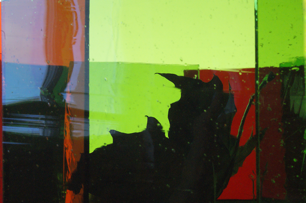 Verwelkung, welk, verwelkt