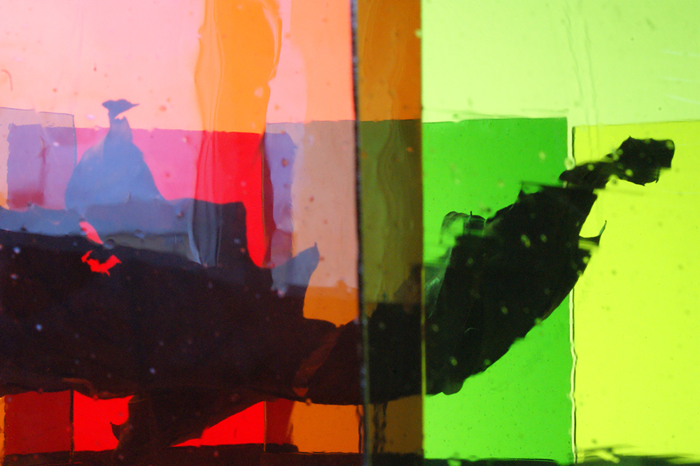 Verwelkung, welk, verwelkt