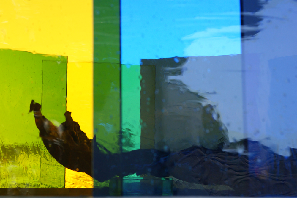 Verwelkung, welk, verwelkt