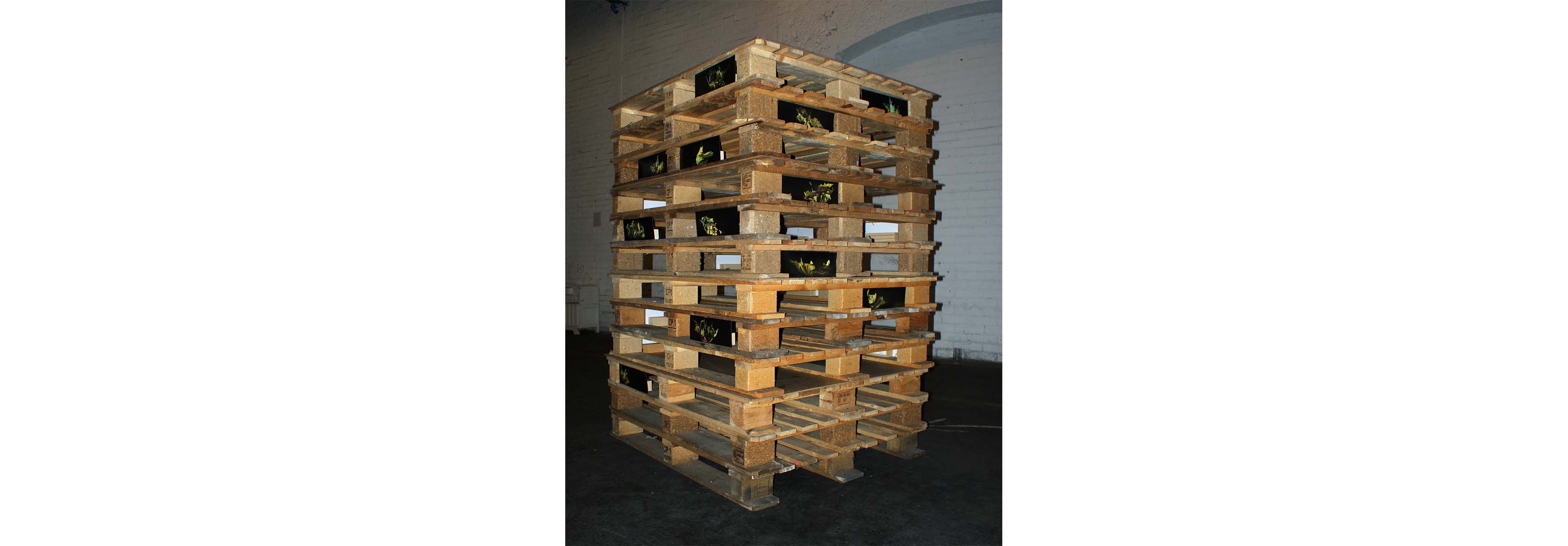 Fragiles Gut, Projektionen, Güterbahnhof, urbaner Transfer, Installation, zerbrechliche Fracht