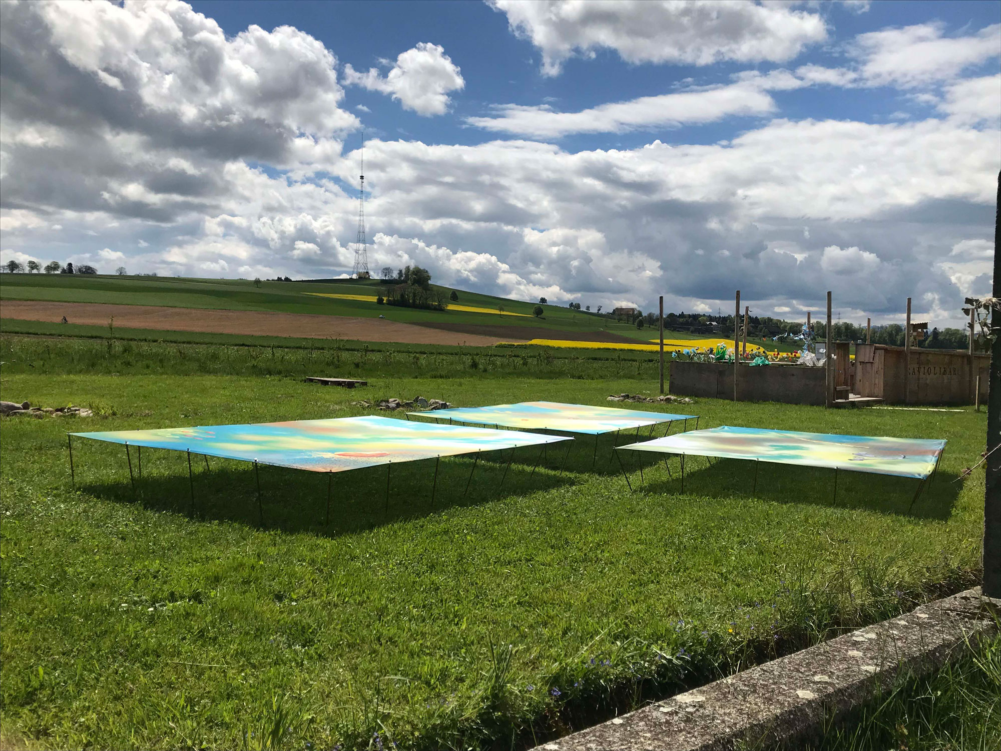 Blumen für die Kunst