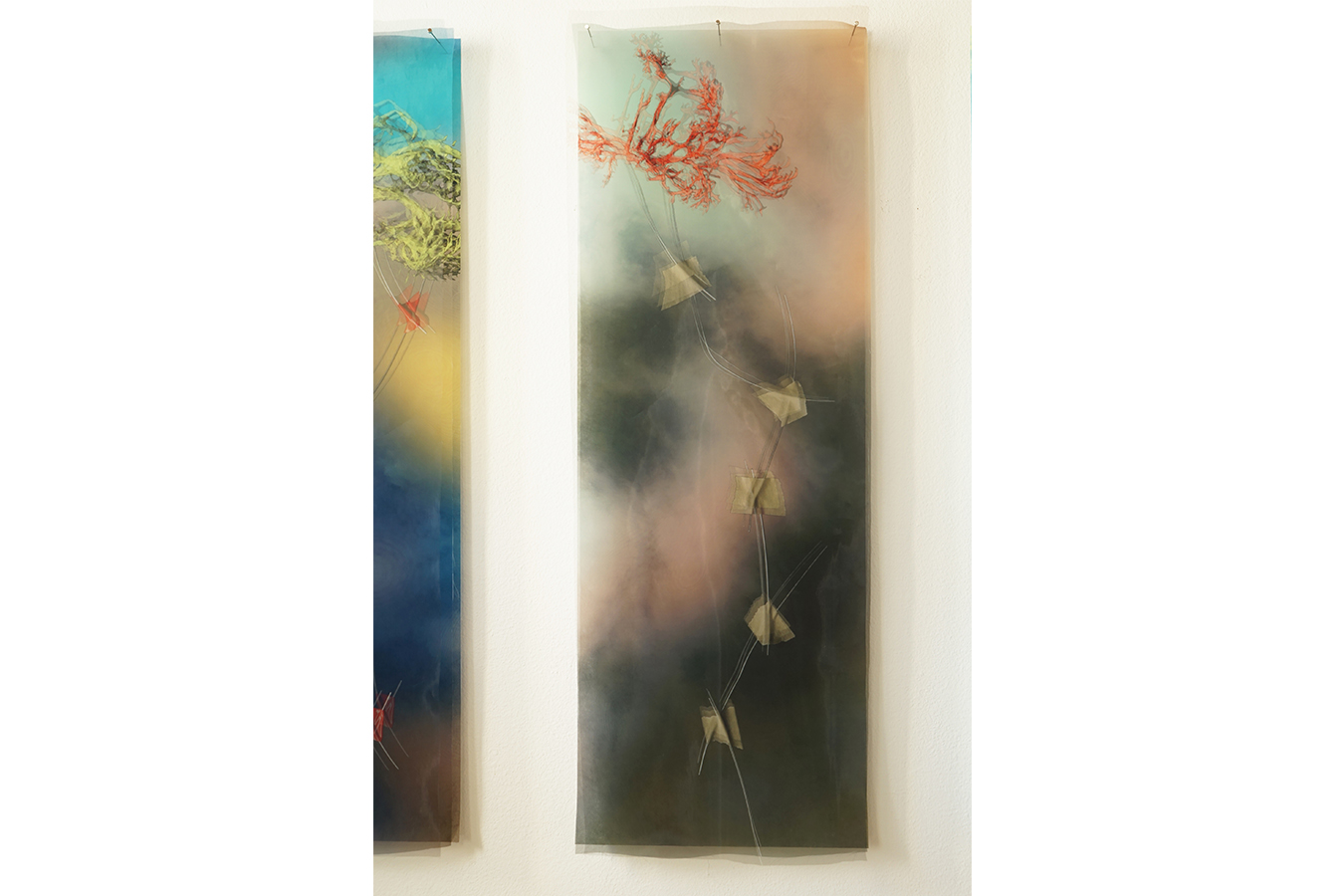 Zerbrechliche Verbindungen, Fragilität, Klimawandel